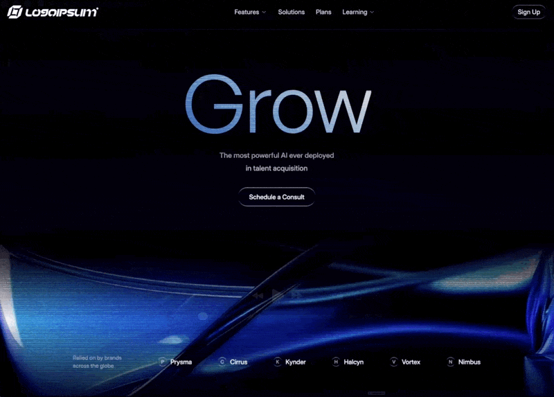 Creative web experience concept