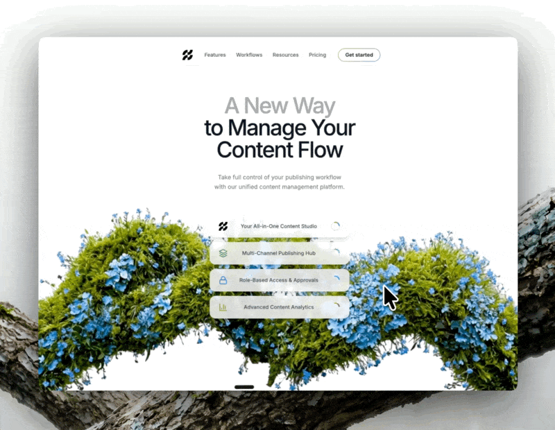 Interactive web design showcase